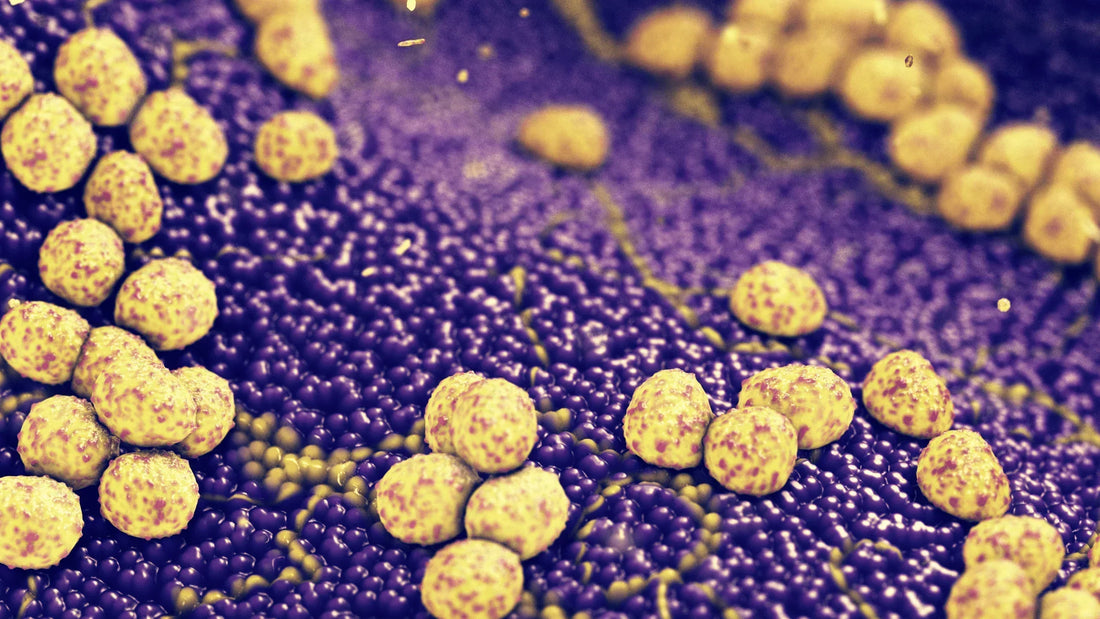 Je gids voor het huidmicrobioom